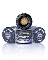 THCA BADDER GRANDDADDY PURPLE 1G